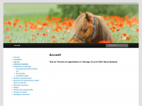 poney-suisse.ch Thumbnail