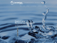 leviathan-dynamics.com Thumbnail