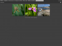 Imagesbriere.fr