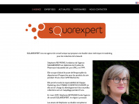 squarexpert.fr Thumbnail