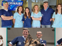 veterinaire-tournamy-mougins.fr