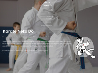 karate-evreux-nekodo.fr Thumbnail