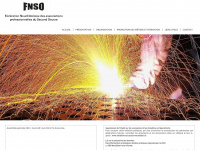 fnso.ch Thumbnail