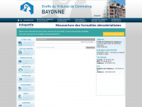 greffe-tc-bayonne.fr