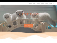 catcite.com