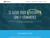 ecommerce-web.info