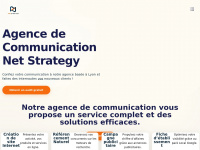 net-strategy.fr