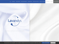 lavandys.fr