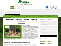 Elagage-abattage-91.fr