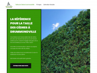 Taillesdecedresdrummondville.ca