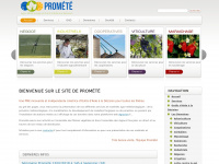 promete.fr Thumbnail