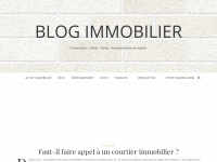 rey-immobilier.fr