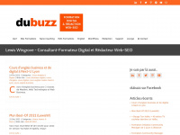 dubuzz.com