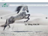 Ek1n-blog.fr