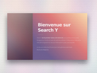 Search-y.ch