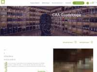 Caa-guadeloupe.fr