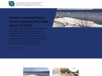 Ccebj-jbace.ca