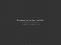 Handyman-geneva.ch