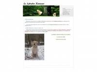 retriever.labrador.free.fr Thumbnail