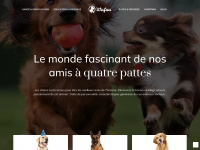 Wafou.fr