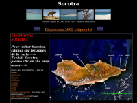 socotra-island.net