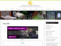 ecole-du-chat-bordeaux.com