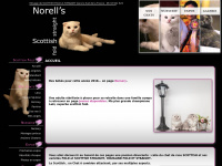 norell.fr Thumbnail