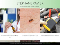 stephaneravier.fr Thumbnail