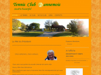 tennisclubdannemois.free.fr Thumbnail