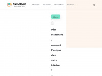 cameleon-decoration.com