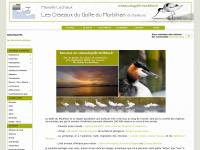 oiseauxdugolfe-morbihan.fr Thumbnail