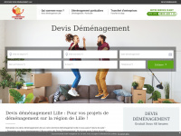 devis-demenagement-lille.com Thumbnail