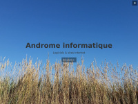 Andromeinformatique.com