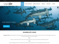 sharklife.co.za Thumbnail