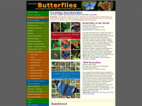 learnaboutbutterflies.com