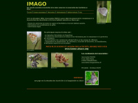 association.imago.free.fr Thumbnail