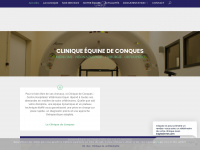 Cliniquedeconques.com
