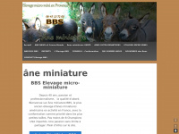 anes-miniatures.fr