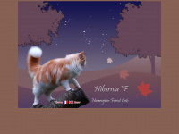 hibernia-cattery.net Thumbnail