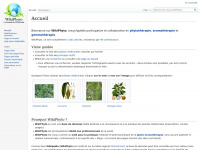 wikiphyto.org Thumbnail