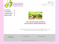 fede-commerce-vendomois.fr