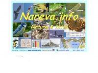 nareva.info Thumbnail