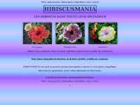 hibiscusmania.com Thumbnail