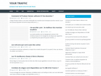 your-traffic.net