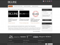 franchise-biguine.com
