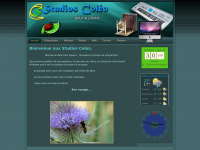 studiocoleo.com Thumbnail