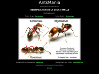 Antsmania.com