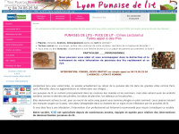 lyon-punaises.com