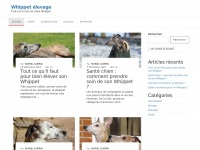 Whippet-elevage.com
