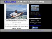 galwayfishing.co.uk
